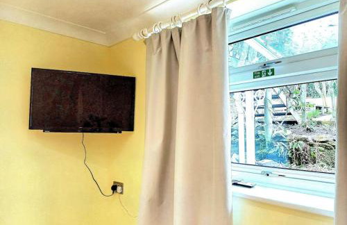 The Conifers 3 Room Small but Stylish Self Catering Bedsit Flat in Nature Reserve Free Eden taxi b4 9pm no lounge - Photo 4