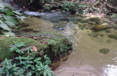 La Casinha da Sorte - Photo 26