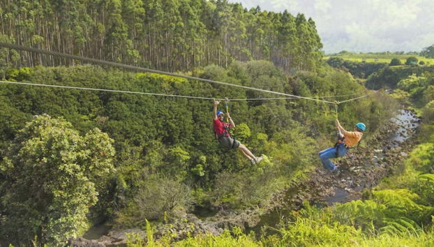 Get the best possible views of the surroundings