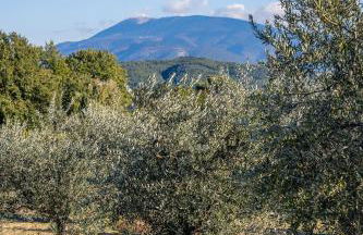 Gîte "La Sainte-Croix", Traditional Provencal House for 8 People, Private Swimming-Pool, Air-Conditioner, Beautiful Scenery - Photo 36