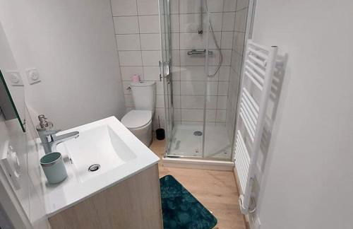 Bel appartement F2 hyper centre refait à neuf - Foto 6