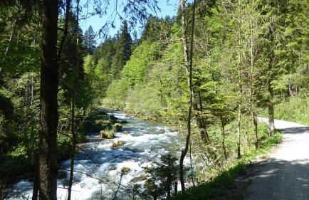 FW Weissensee - Foto 29