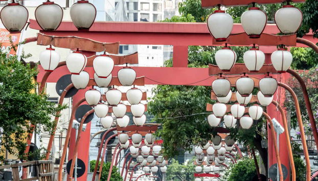 Visita guiada por Sao Paulo - Foto 3