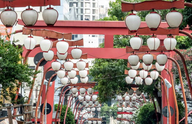 Guided Tour of Sao Paulo - Photo 3