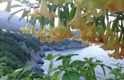 Kapetaniou Apartments - Foto 29