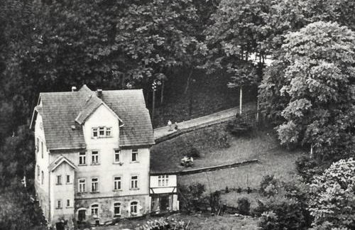 Pension Waldfrieden - Foto 35