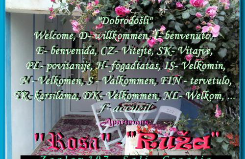 Apartment Ruza - Foto 1