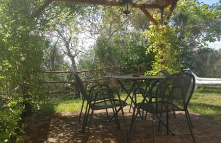 La Fornace di San Galgano - Foto 66