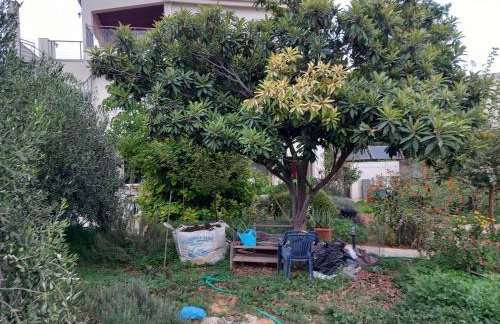 pavlosloft - Foto 11