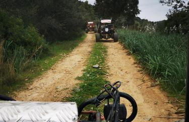 Cara Catherine - Foto 27