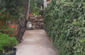 Appartements Luccisano - Foto 33