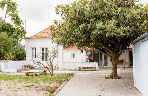 Casa do Camondo - Foto 1