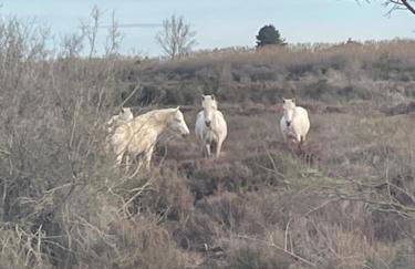 MARINA Belle vue avec appontement - Foto 44