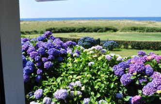 Maison de vacances au bord de la plage - Foto 14
