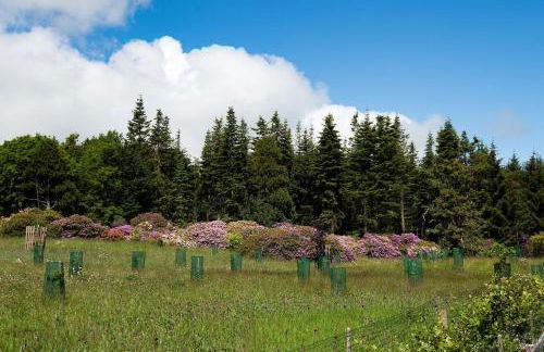 South Lodge, Twizell Estate - Foto 30