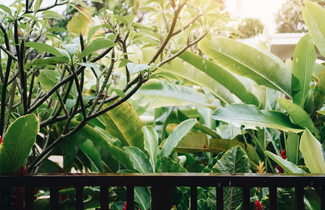 Maha Hills Resort by Mahaprana Experience - Foto 43