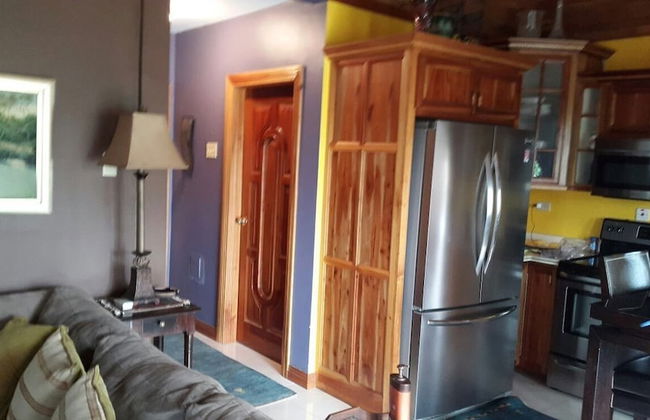 Palms of Liguanea - Foto 9