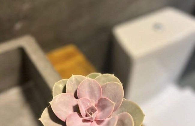 Casa com Jardim Praia da Ferrugem - Foto 12