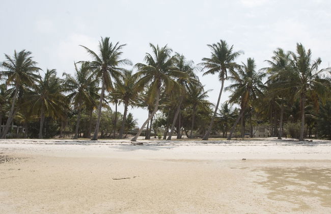 Lukes Place - Foto 31