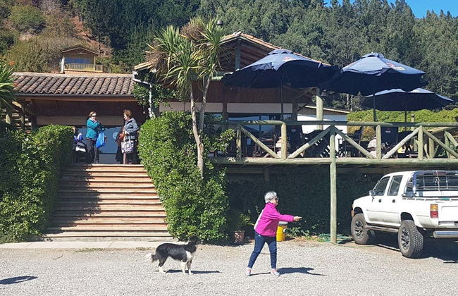 Excursão a Ninhue e Buchupureo - Foto 1