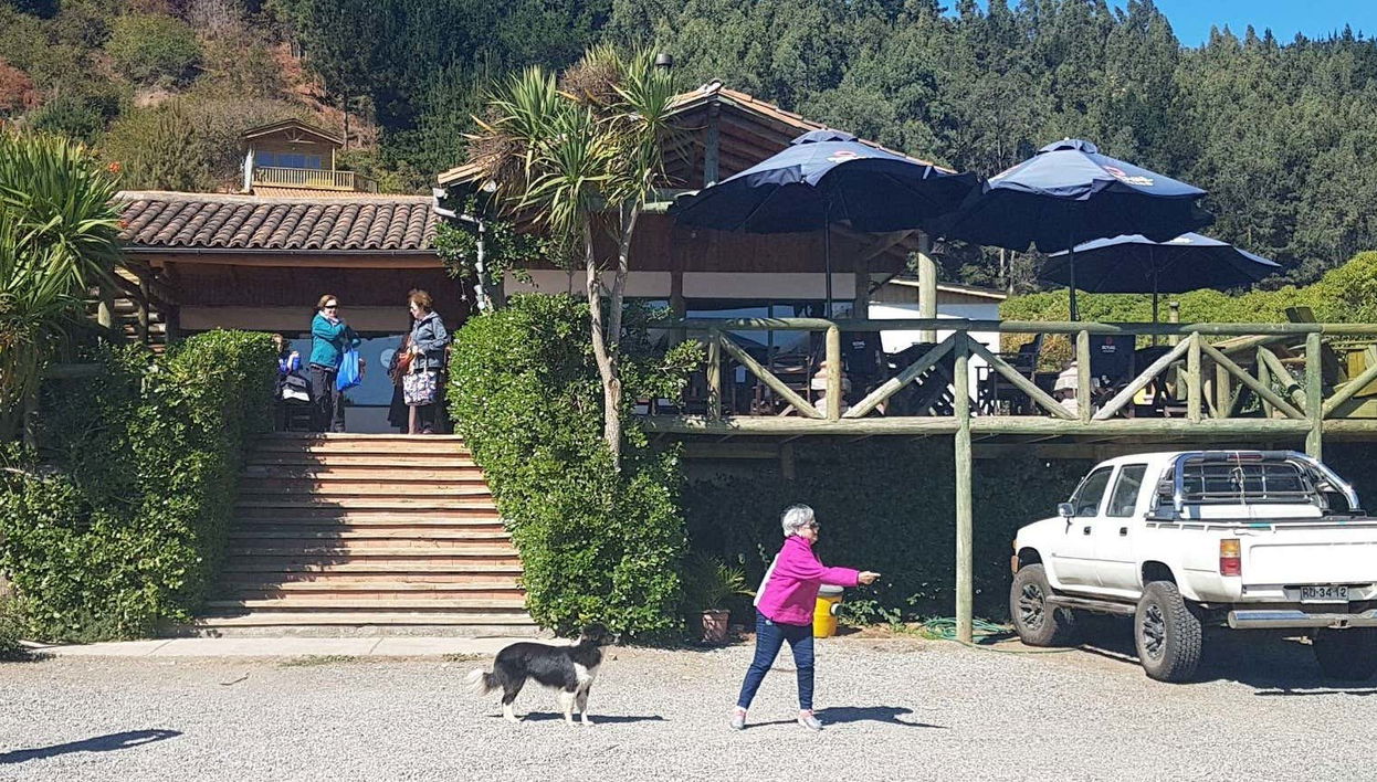 Excursão a Ninhue e Buchupureo