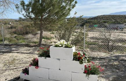 Alojamientos CUEVAS TIANA - Photo 18