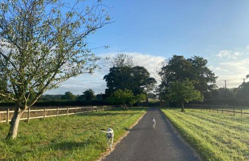 Edwardian Cottage in beautiful surroundings with hot tub - Foto 8