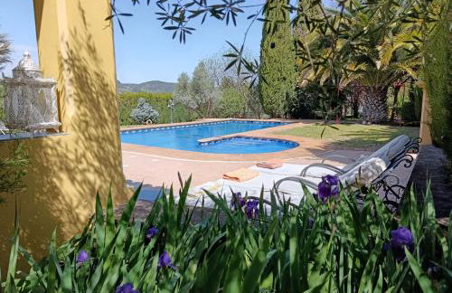 Andalusian experience - Photo 2