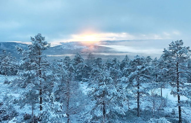 15 Person Holiday Home in Treungen - Foto 15