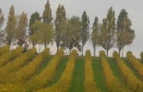 La Casa del Giardiniere - Foto 40