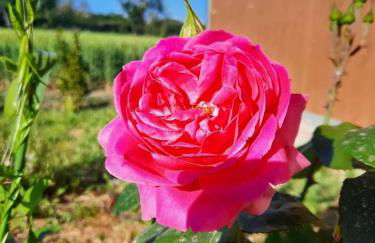 IL CUORE DEL CONERO - CASALE CON PISCINA, Natura e Relax - Foto 26