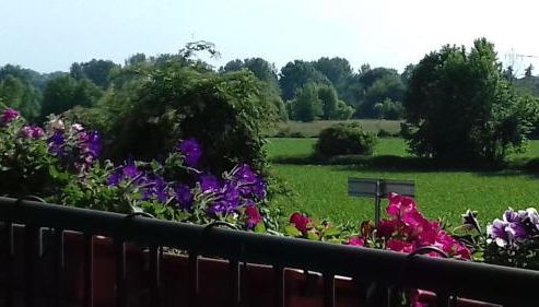 Molino Antico B&B - Foto 5