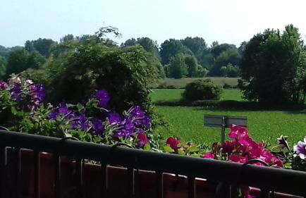 Molino Antico B&B - Foto 5