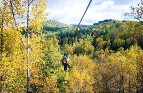 Karma Cabin - Foto 38