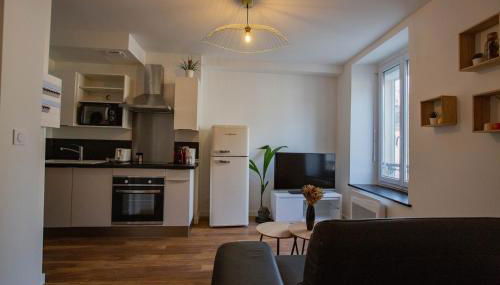 Faubourg des voyageurs 6 - T3 climatisé 4 personnes - proche axe autoroute et gare - Photo 2, stove, dishwasher, toaster