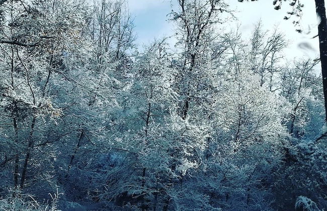 Agriturismo Sinciano - Foto 36