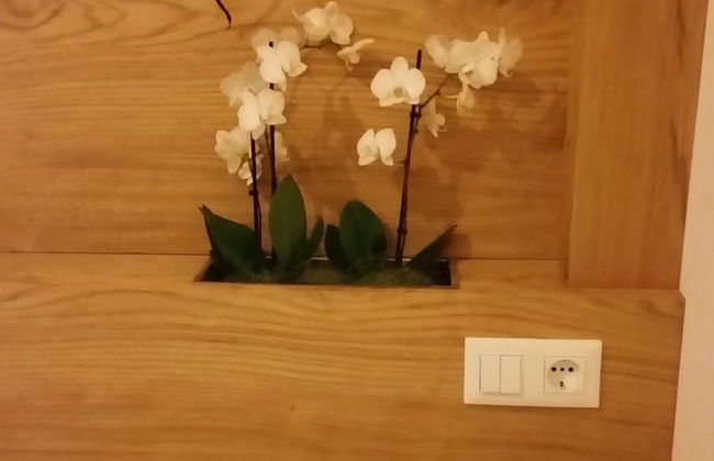 Masetto Egidio Agritur - Foto 3