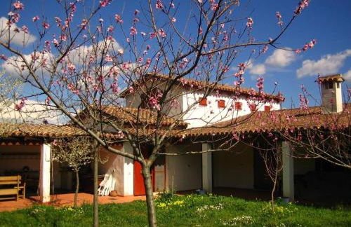 Holiday Home Natur- ökologische Nachhaltigkeit- nur für Erwachsene- Meer in der Nähe by Interhome - Foto 26