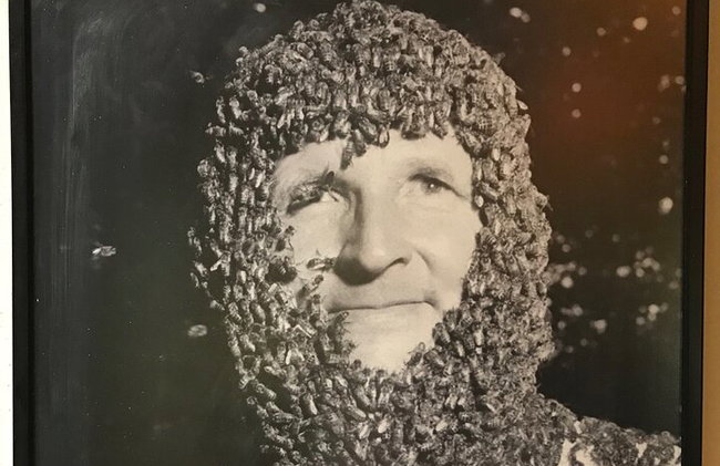 Vallée des papillons et vin, huile d'olive, visite de dégustation de miel (petit groupe) - Photo 18