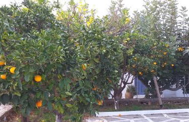 Lemonokipos, holiday house with private pool - Foto 40