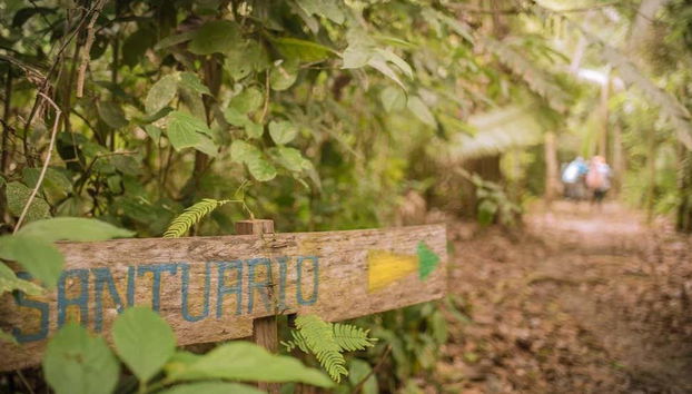 Rumo aos santuários da floresta peruana