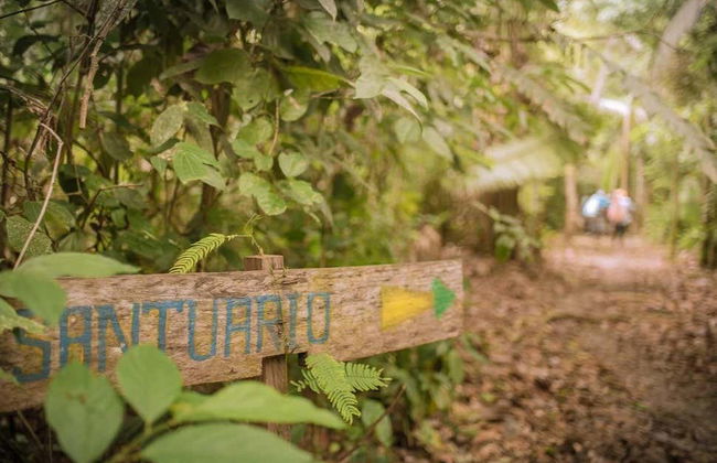 Excursion à la rivière bouillante de Mayantuyacu - Photo 4