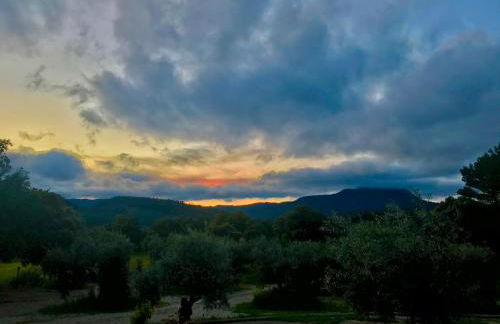 Casa Rural Cortijo La Ajedrea - Foto 47