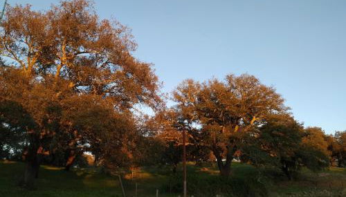 Cercado Forero - Foto 3, Garden