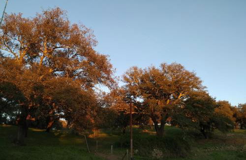 Cercado Forero - Foto 3