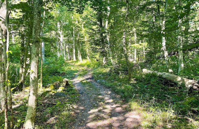 6 Person Holiday Home in Borgholm - Foto 24