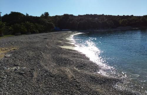 Apartmani Tognon - Foto 66