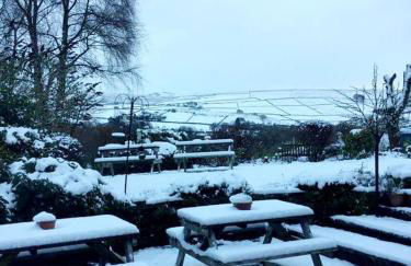 The Waltzing Weasel - Photo 15