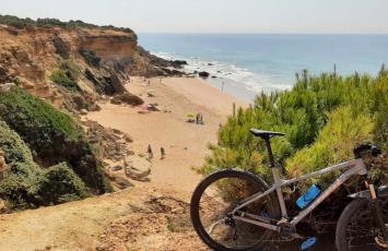 Casa Palmera - Foto 23