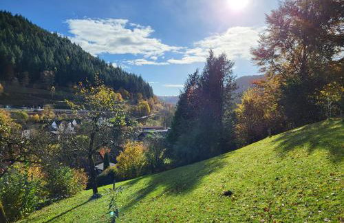 BlackforestBike&HikeHouse - Photo 14